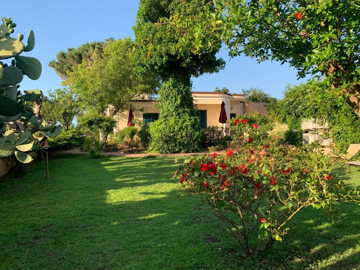 Villino Eleonora Bed & Breakfast Parghelia Exterior photo