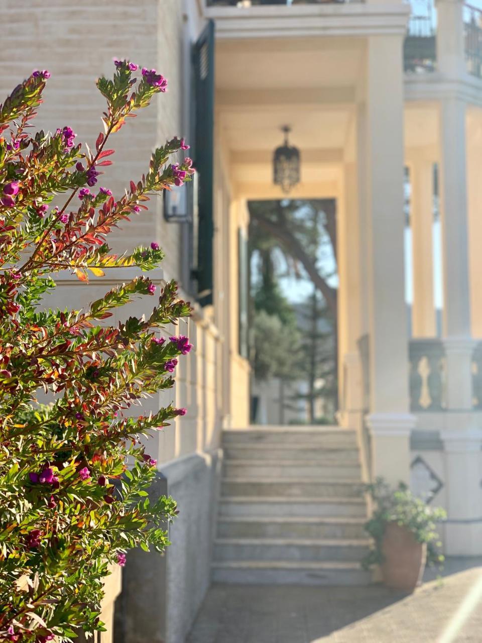Villino Eleonora Bed & Breakfast Parghelia Exterior photo