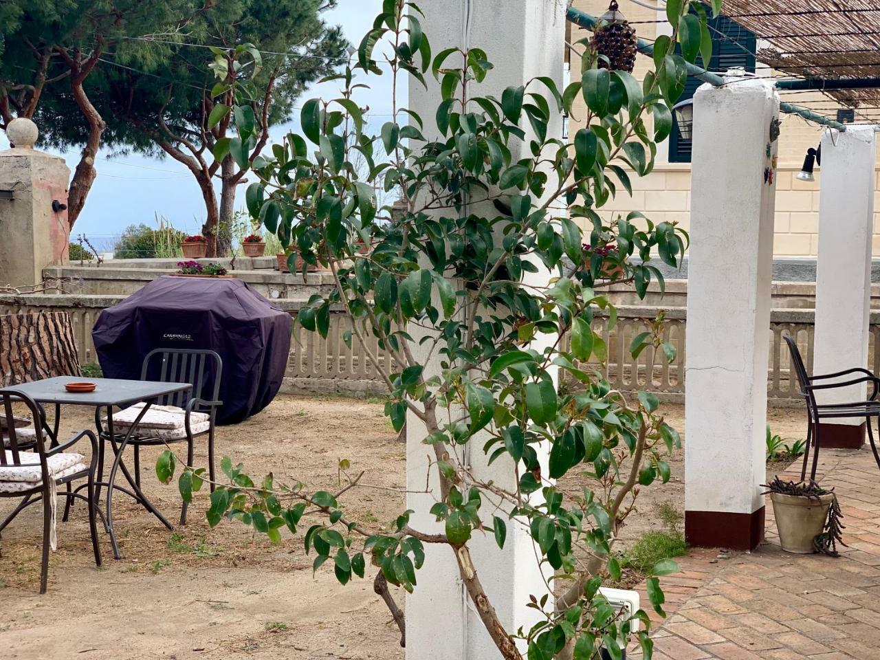 Villino Eleonora Bed & Breakfast Parghelia Exterior photo